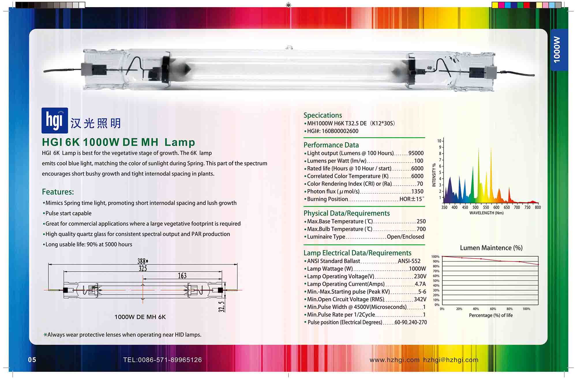 HGI 6K 1000W DE MH Lamp